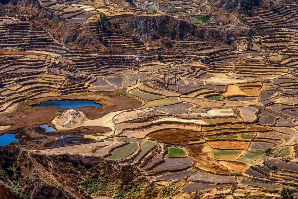 Terrace fields in the Canyon Colca